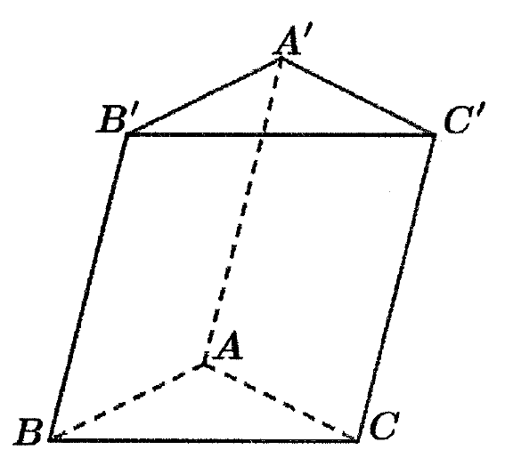 Hình lăng trụ tam giác ABC.A'B'C', đáy trên A'B'C', đáy dưới ABC, các đoạn AA', AB, AC vẽ nét đứt