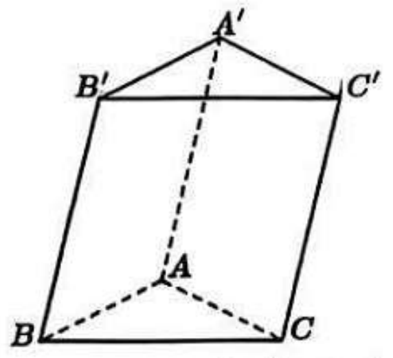 Hình lăng trụ tam giác ABC.A'B'C' có đáy trên A'B'C', đáy dưới ABC, các cạnh khuất AA', AB, AC vẽ nét đứt