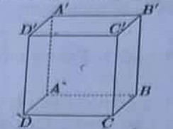 Hình lập phương ABCD.A'B'C'D', đáy dưới ABCD, đáy trên A'B'C'D', các đoạn khuất AA', AB, AD vẽ nét đứt