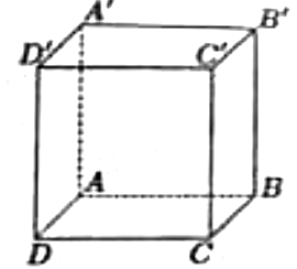 Hình lập phương ABCD.A'B'C'D', đáy dưới ABCD, đáy trên A'B'C'D', các đoạn khuất AA', AB, AD vẽ nét đứt