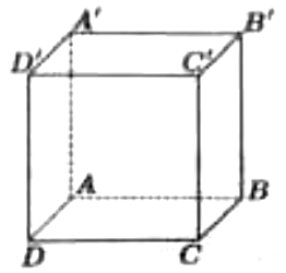 Hình lập phương ABCD.A'B'C'D', đáy dưới ABCD, đáy trên A'B'C'D', các đoạn khuất AA', AB, AD vẽ nét đứt