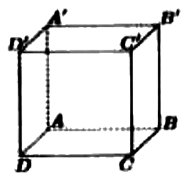 Hình lập phương ABCD.A'B'C'D', đáy dưới ABCD, đáy trên A'B'C'D', các đoạn khuất AA', AB, AD vẽ nét đứt