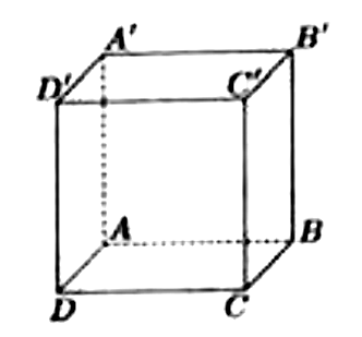Hình lập phương ABCD.A'B'C'D', đáy dưới ABCD, đáy trên A'B'C'D', các đoạn khuất AA', AB, AD vẽ nét đứt