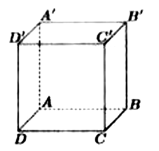 Hình lập phương ABCD.A'B'C'D', đáy dưới ABCD, đáy trên A'B'C'D', các đoạn khuất AA', AB, AD vẽ nét đứt