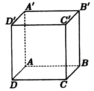 Hình lập phương ABCD.A'B'C'D', đáy dưới ABCD, đáy trên A'B'C'D', các đoạn khuất AA', AB, AD vẽ nét đứt