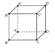 Hình lập phương ABCD.A'B'C'D': A', B', C', D' lần lượt ở phía trên A, B, C, D