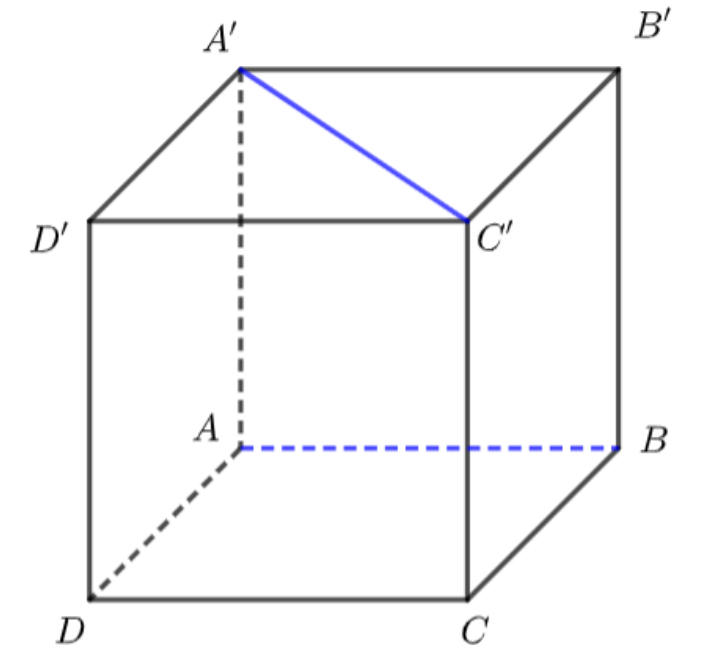 Hình lập phương ABCD.A'B'C'D' với các đường A'C' và AB được tô màu xanh