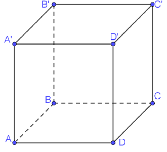 Hình lập phương ABCD.A'B'C'D'