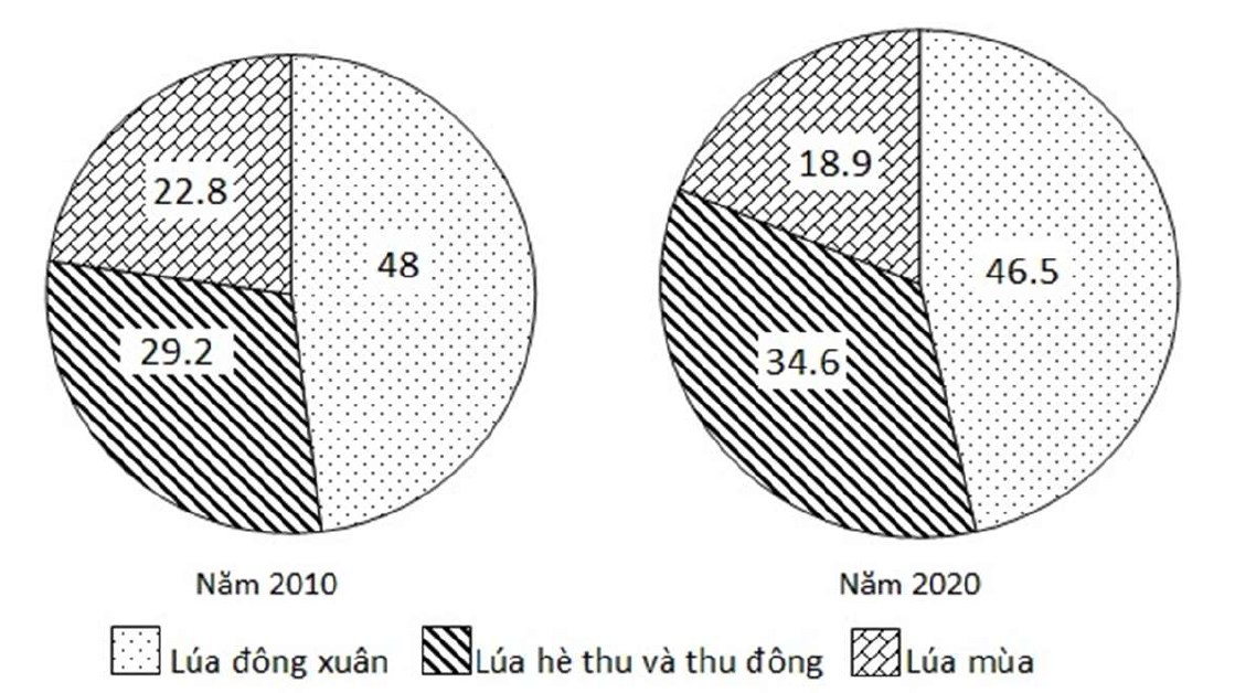 Hai biểu đồ tròn cơ cấu sản lượng lúa phân theo mùa vụ của nước ta năm 2010 và năm 2020