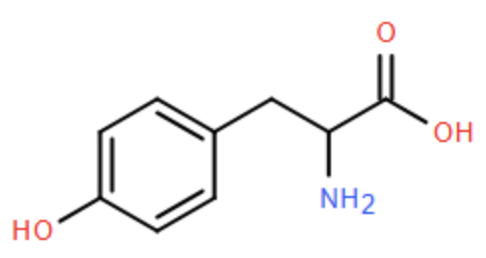 Công thức cấu tạo tyrosine