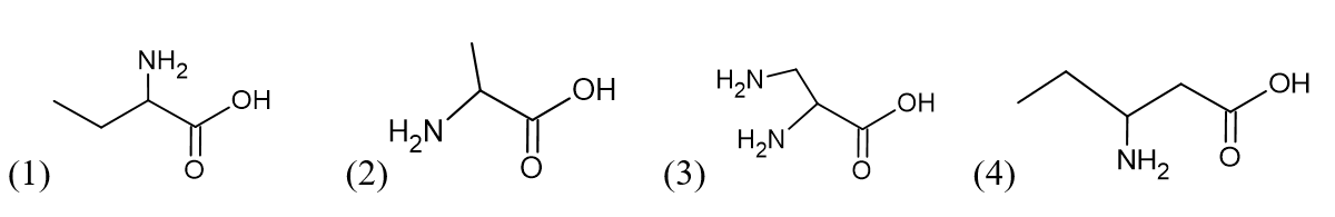 Bốn hợp chất chứa amino và carboxyl