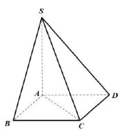 Hình chóp S.ABCD có đáy ABCD là hình bình hành