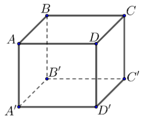 Hình hộp chữ nhật ABCD.A'B'C'D'