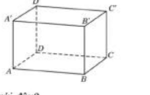 Hình hộp ABCD.A'B'C'D'