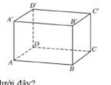 Hình minh họa Câu 3 Phần I