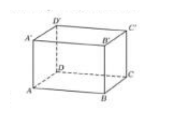Hình hộp ABCD.A'B'C'D'