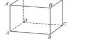 Hình hộp ABCD.A'B'C'D'