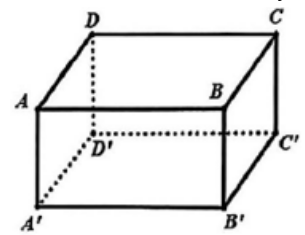 Hình lập phương ABCD.A'B'C'D' với các đỉnh được ghi nhãn