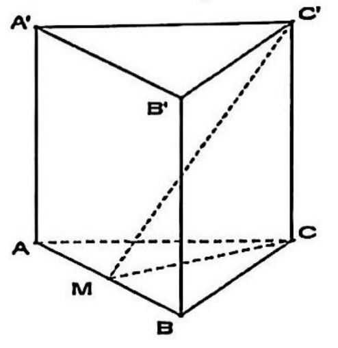Lăng trụ đứng ABC.A'B'C' với M là trung điểm AB, các đoạn CM và C'M nét đứt