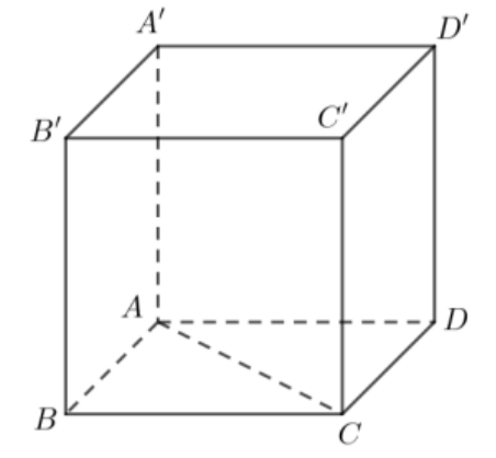 Hình lập phương ABCD.A'B'C'D' có đường chéo đáy AC vẽ nét đứt