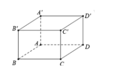 Hình hộp chữ nhật ABCD.A'B'C'D'