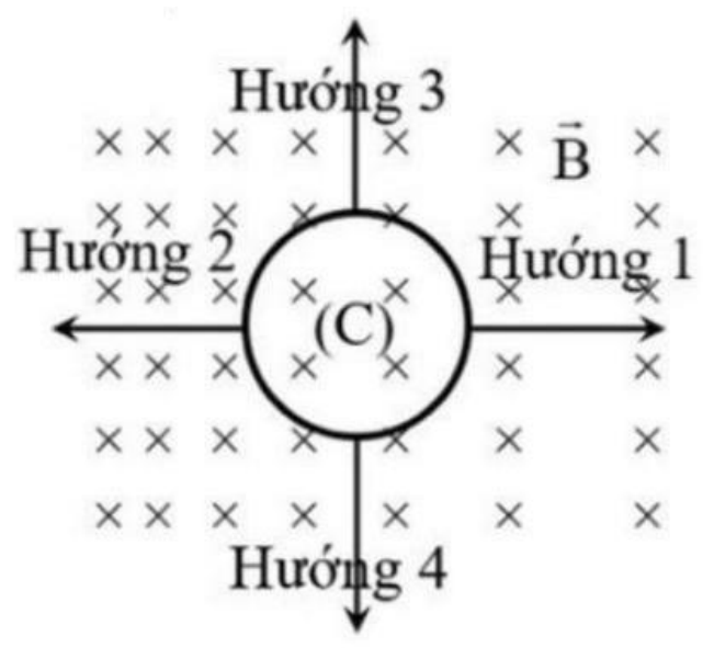 Vòng dây tròn (C) trong từ trường hướng vào mặt phẳng hình, các dấu × dày ở bên trái, bốn mũi tên chỉ hướng 1 sang phải, hướng 2 sang trái, hướng 3 lên, hướng 4 xuống